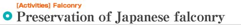 Preservation of Japanese falconry