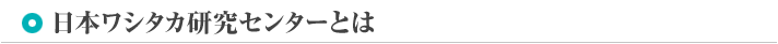 日本ワシタカ研究センターとは