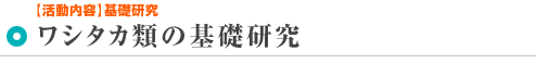 ワシタカ類の基礎研究